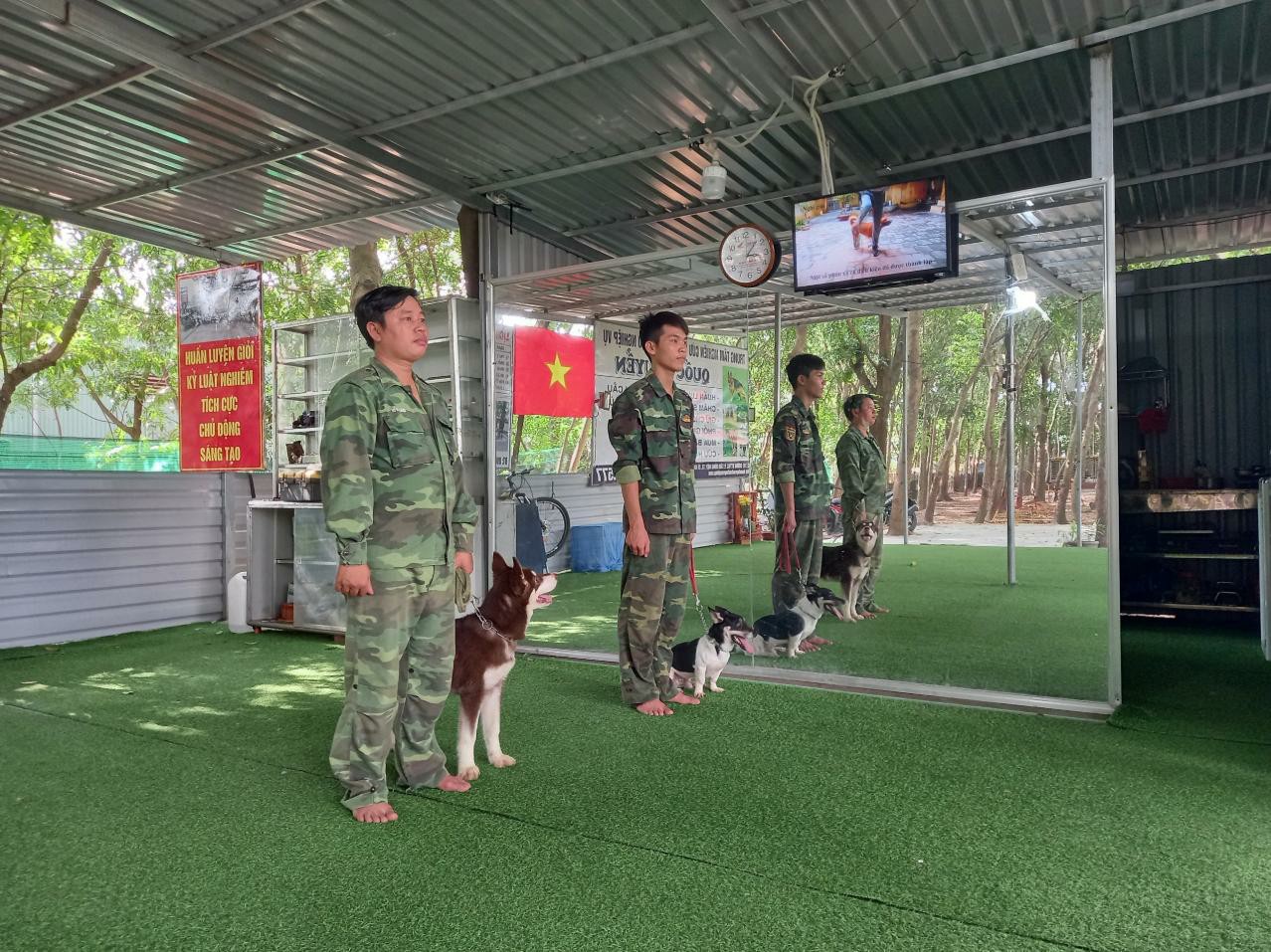 Những Lý Do Bạn Nên Chọn Trung Tâm Huấn Luyện Chó Quốc Khuyển