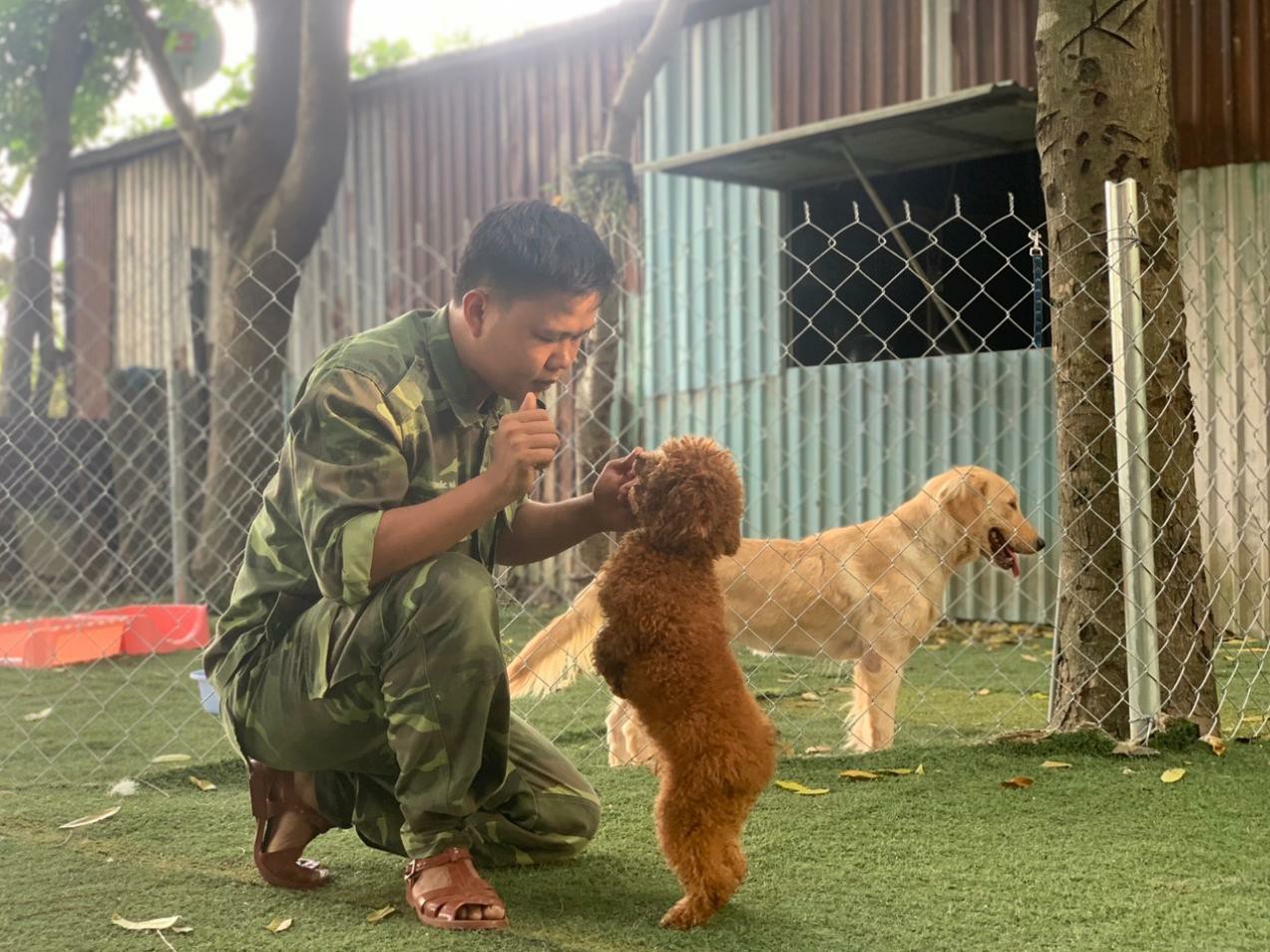 Những điểm cần lưu ý khi huấn luyện chó lệnh nghe