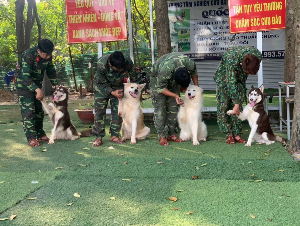 Trung Tâm Huấn Luyện Chó Chuyên Nghiệp Quốc Khuyển