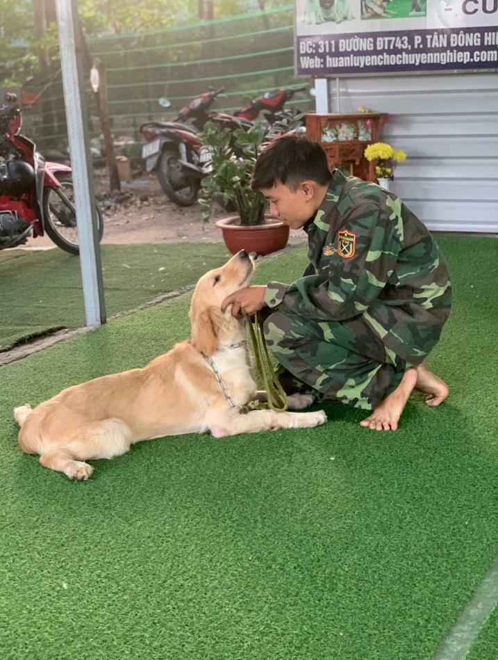 Những Lý Do Bạn Nên Chọn Trung Tâm Huấn Luyện Chó Quốc Khuyển