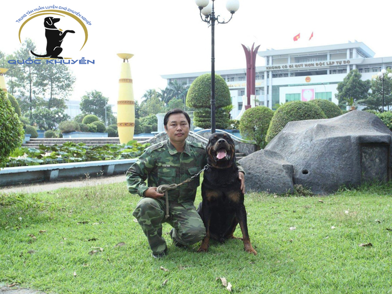 Những Ưu Điểm Từ Việc Huấn Luyện Chó Nghiệp Vụ