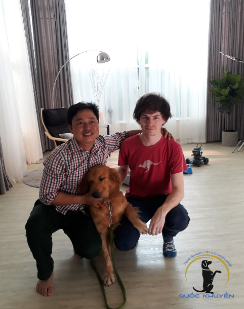 Dịch Vụ Huấn Luyện Chó Chuyên Nghiệp Tại Quốc Khuyển