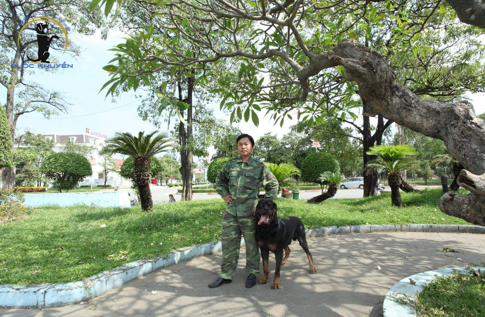 Tiêu Chí Chọn Trường Huấn Luyện Chó Ở Đâu Giá Rẻ Nhất