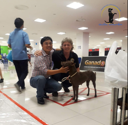 Kinh Nghiệm Chọn Trường Huấn Luyện Chó Ở Đâu Chất Lượng