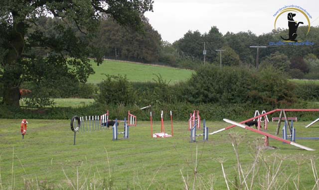 Tiêu Chí Chọn Trường Huấn Luyện Chó Ở Đâu Giá Rẻ Nhất