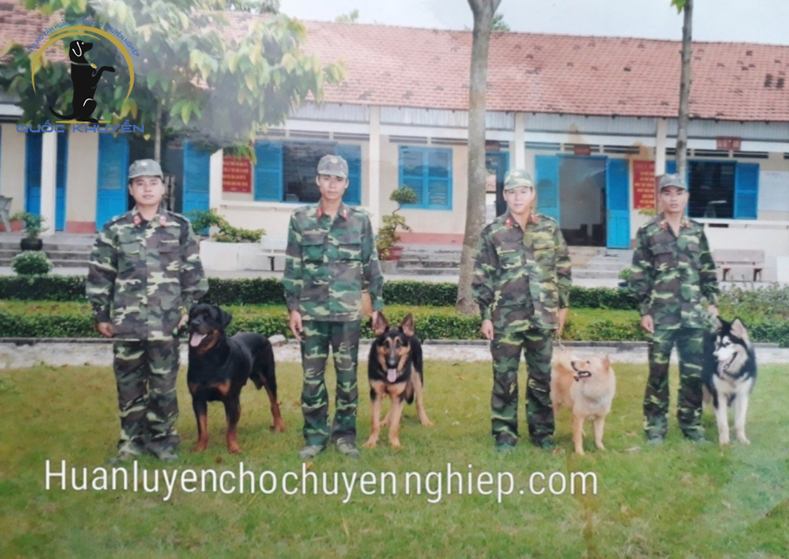 Tiêu Chí Chọn Trường Huấn Luyện Chó Ở Đâu Giá Rẻ Nhất