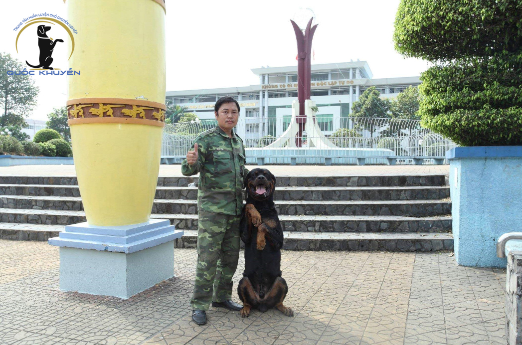 Trường Huấn Luyện Chó Ở Đâu Tốt Nhất