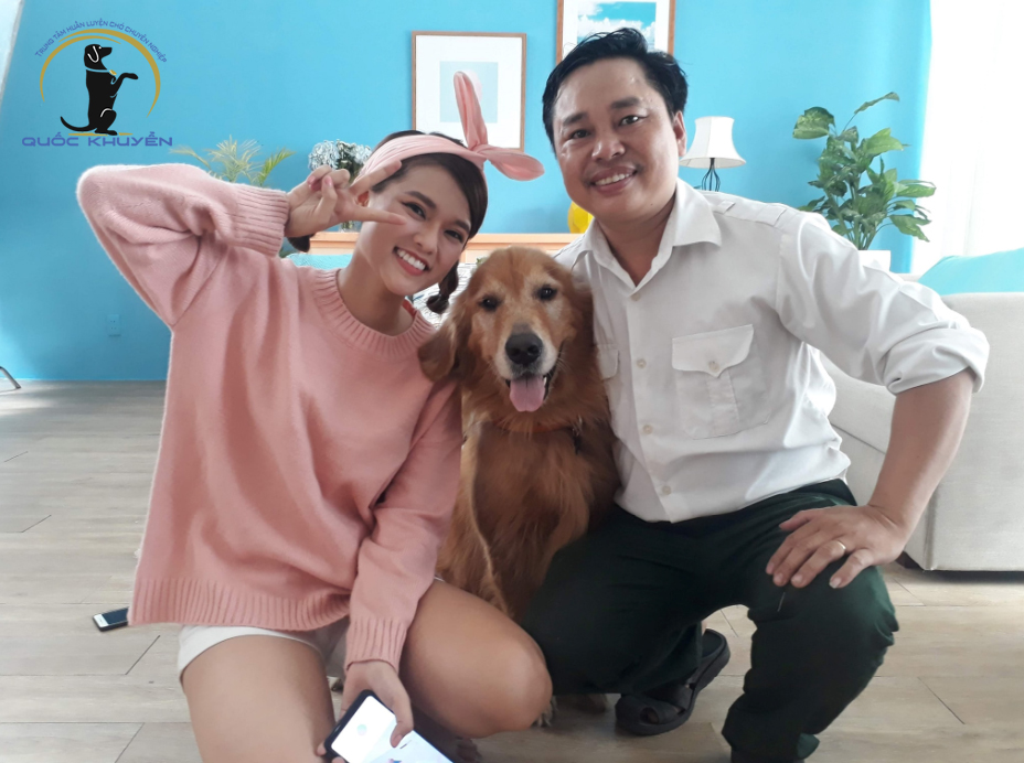 Những Lưu Ý Khi Chăm Sóc Chó Poodle