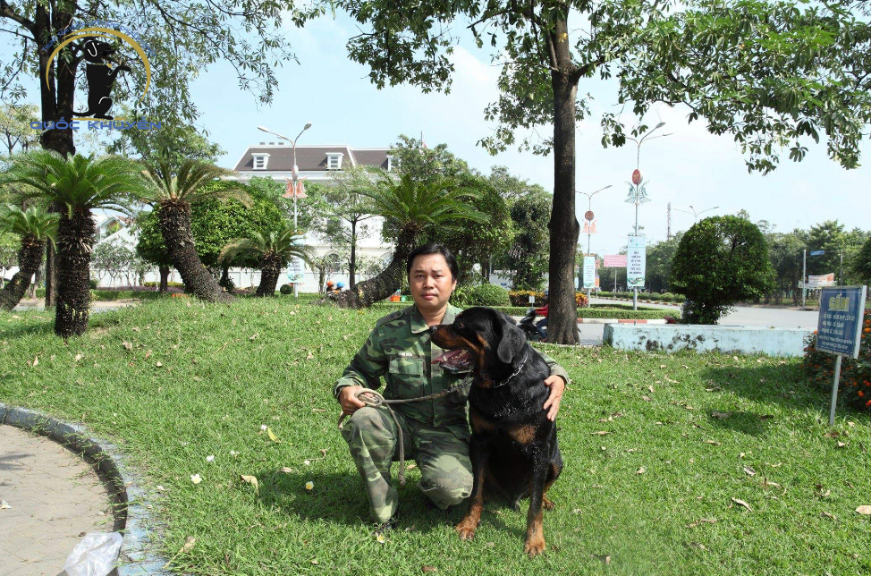 Vì Sao Nên Chọn Dịch Vụ Huấn Luyện Chó