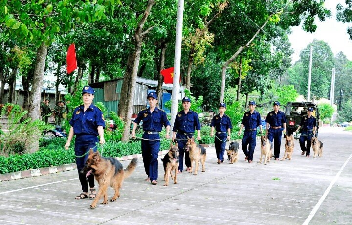 Huấn luyện chó Quốc Khuyển