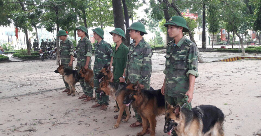 Trung tâm huấn luyện chó